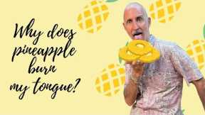 Can you eat a mono meal of acid fruit like pineapple? ???