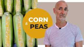 ? Corn place in an optimal diet