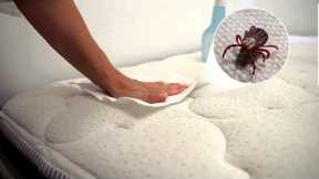 How to Remove Dust Mites from a Mattress