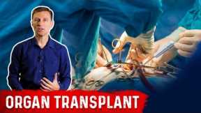 4 Natural Remedies for Organ Transplant
