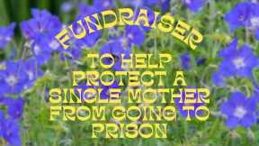 ? Fundraiser To Help Protect A Single Mother From Going To Prison