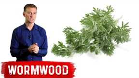The Benefits of Wormwood