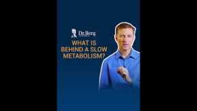 What is Behind a Slow Metabolism?