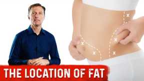 Body Fat Location Can Predict Disease