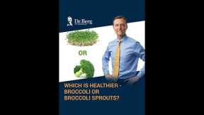 Which is Healthier - Broccoli or Broccoli Sprouts?