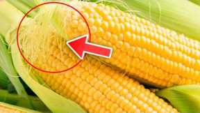 Never Throw Away Corn Silk Again, Here's Why...