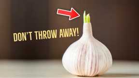 Why You Should Never Throw Away Sprouted Garlic