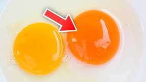 The Color Of Your Egg Yolks Actually Does Matter, Here's Why...