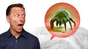 Millions of Microbes Living in Your Mattress???