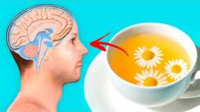 Drink Chamomile Tea Every Night for These Amazing Benefits