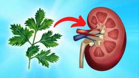 Eat This Herb to Cleanse Your Kidney Naturally