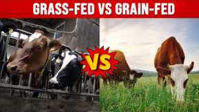 New Fascinating Research on Grass-Fed Beef