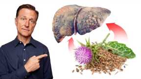 The #1 Absolute BEST Herb for Liver Disease (Fatty Liver, Hepatitis and Cirrhosis)