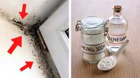 Spray This Liquid To Get Rid Of Mold Quickly