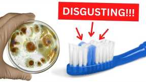 Your Toothbrush Is A Breeding Ground - Here's How To Clean It!