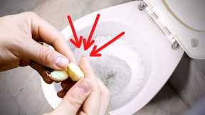 Put A Garlic In The Toilet At Night, You Will Be Amazed!