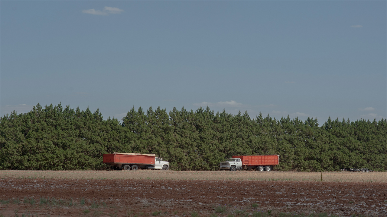 Two trucks are parked by a treeline outside of Littlefield, Texas on June 25, 2022.