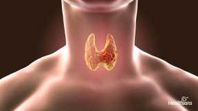 Thyroid in Kids – Know Its Signs and Symptoms