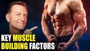 The MOST Important Factors in Building Muscle–Beyond Dietary Protein