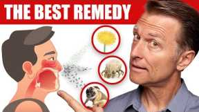 The BEST Remedy for Seasonal Allergic Rhinitis