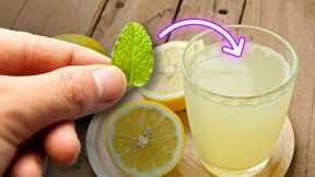 Why Experts Recommend That You Put A Mint Leaf In Your Lemonade