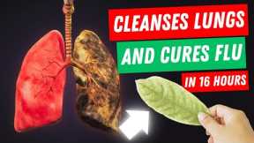 This Herb Cleanses The Lungs And Can Cure The Flu In 16 Hours!