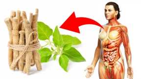 Why Are Many People Suddenly Taking This Ancient Herb? (Ashwagandha Benefits)
