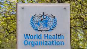 WHO Declares Mpox Outbreaks in Africa a Global Health Emergency