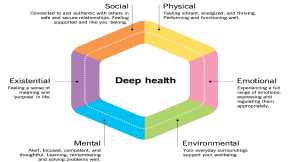 The PN framework that improves healthspan, longevity, and quality of life